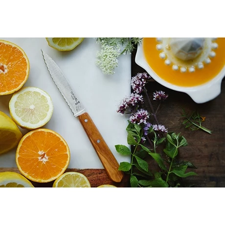 Opinel Coffret Les Essentiels Olivier – Image 2