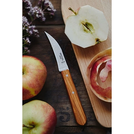 Opinel Coffret Les Essentiels Olivier – Image 4